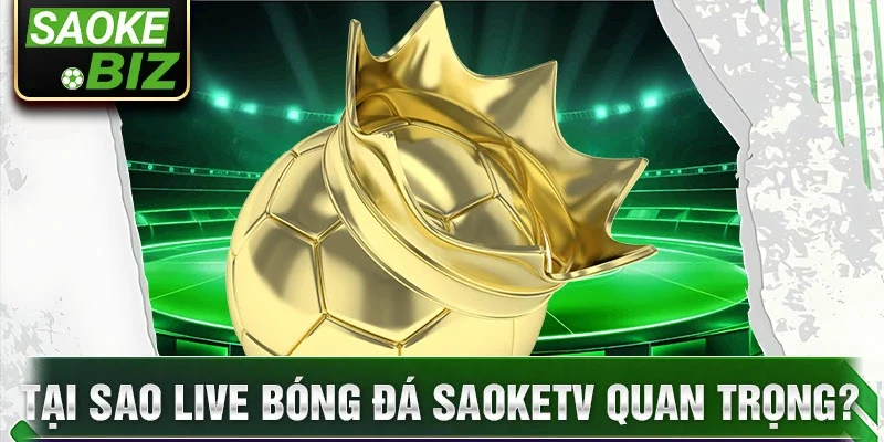 Tại sao live bóng đá saoketv quan trọng?