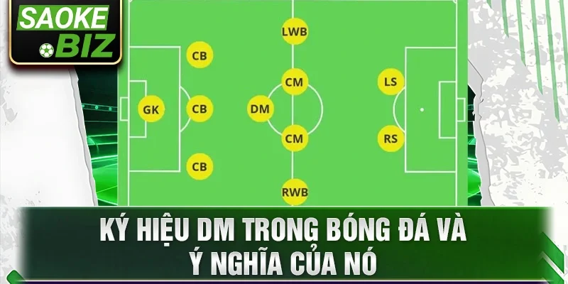 Ký hiệu DM trong bóng đá và ý nghĩa của nó